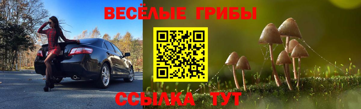 Псилоцибиновые грибы мухоморы  даркнет сайт  Гусев  Вход с VPN 